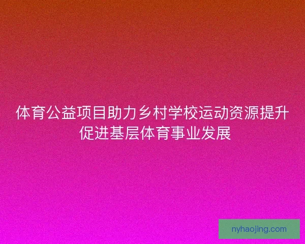 体育公益项目助力乡村学校运动资源提升 促进基层体育事业发展
