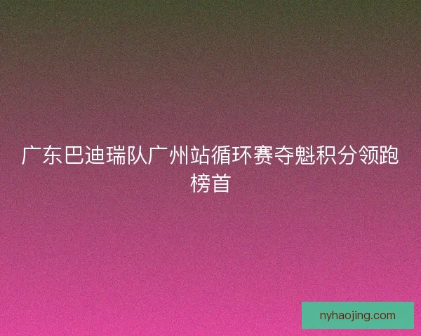 广东巴迪瑞队广州站循环赛夺魁积分领跑榜首
