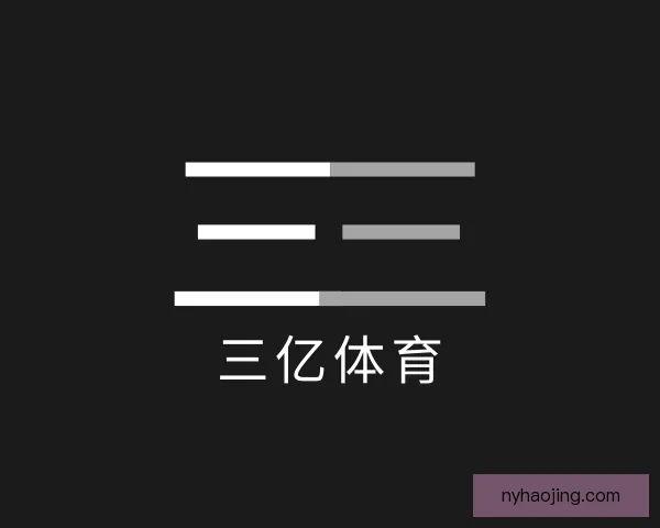 关于三亿体育